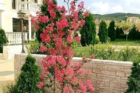 Новые роскошные дома в местности Кошарица в 3 км от моря в Болгарии