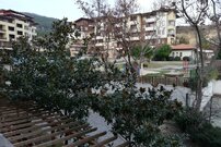 Студия в комплексе на первой линии в Святом Власе
