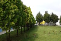 Меблированная студия в комплексе Одиссей в городе Несебр, Болгария