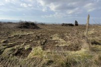 Земельный участок в местности Кошарица